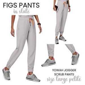 FIGS Limited Edition Women’s Yowah Jogger Slate Size L LP Large Petite EUC